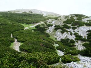 P6190053
